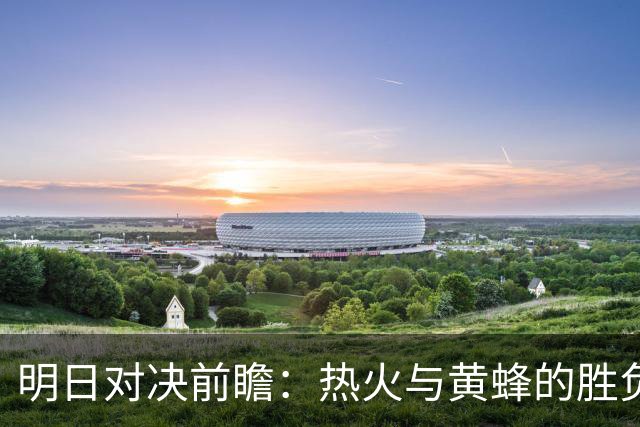 明日对决前瞻：热火与黄蜂的胜负密码